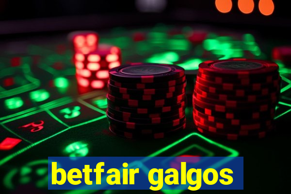 betfair galgos